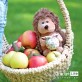 Orange Toys The bristling hedgehog with a bag 15