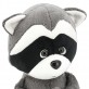 Orange Toys Raccoon Denny - Cool Waves